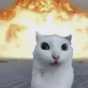 Boomcat